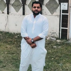 Malik Shahzaib