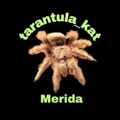 Tarantula