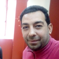 Hassan Ahmed Ali