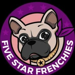 fiveStarFrenchies