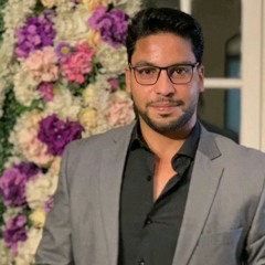 Ahmed A. El-hamid