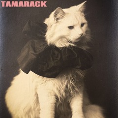 Tamarack