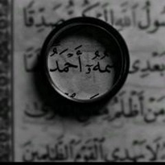 Ahmad Abdelgany