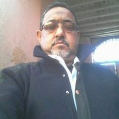 نور محمود محمود