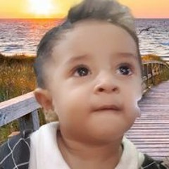 Shabbir Anis