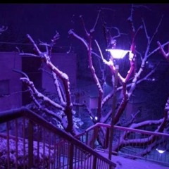 snow.wizard