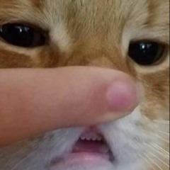 suliajin