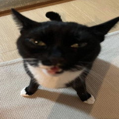 ㅤ