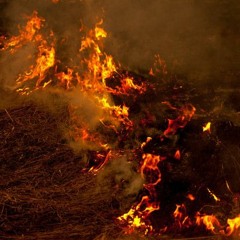 fuerte fuego