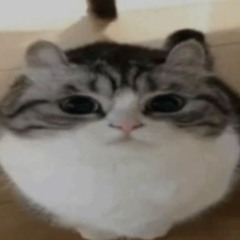 seyuni