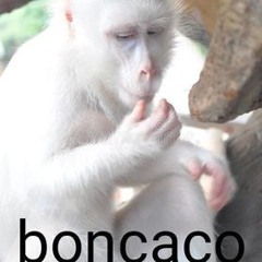 hugoroso
