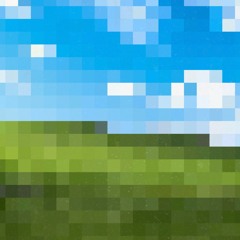 Novel.