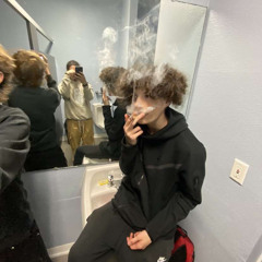 YNW.spiderdog