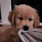 yousef