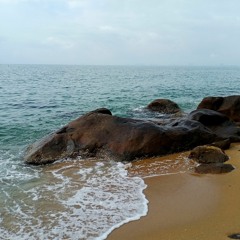 HongAnh