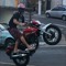 HARLEY OFFICIAL ꕢ