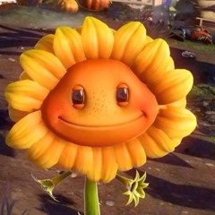 FiZSsZ
