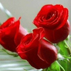 Людмила Адндрюхина
