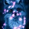 Wolf girl