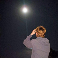 The Bird Watching Society