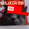 Luccasound