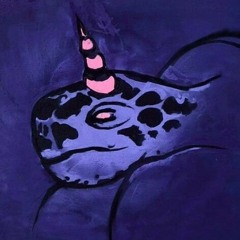 DJ Devoth aka Turtlehorn