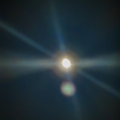Platanero