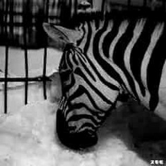 dj azuolaz /////// бачаи сард 1111Д3D111111111