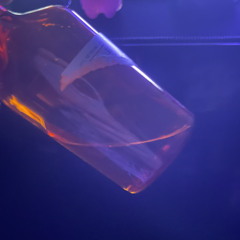 Tsavvup1