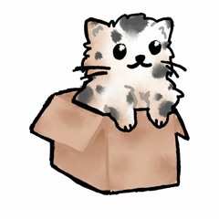 kittenbox