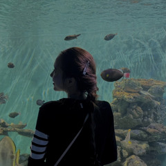 Trân Trân