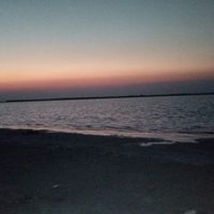 Shatha Anwar