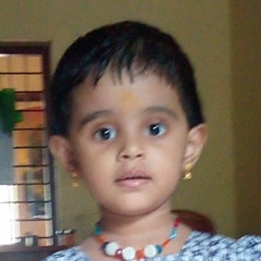 vinod madathil