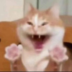 Baam