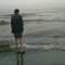 hamed