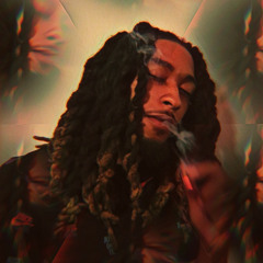 simba_da_lion