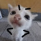 Jj223uwu