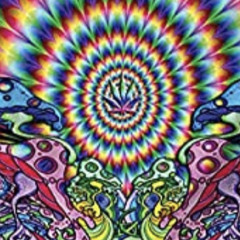 Sarah ✌🏻🕉