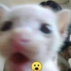 (─‿‿─)  𝙲𝚊𝚖𝚒𝚕𝚘𝚡 (｡•̀ᴗ-)✧