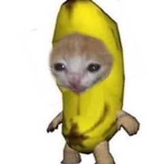qwersuck