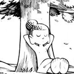 ironicbuddha