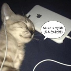 류