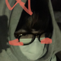 개미