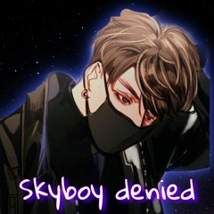skyboydenied