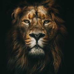 KINGLION_