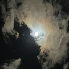 أبو عبد الله