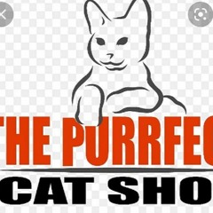 The Purrfect Cat Shop