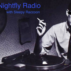 Nightfly Radio 📻🦉
