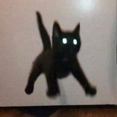 yuz