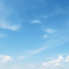 ✮ ℱ𝓇ℯ𝓈𝒽 𝒳 𝒜𝒾𝓇𝓇ℯ ✮